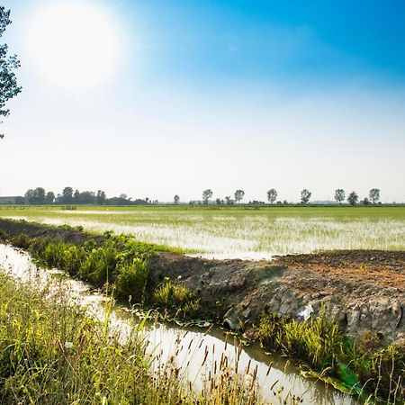 Agriturismo Lecolombare Nogarole Rocca Zewnętrze zdjęcie