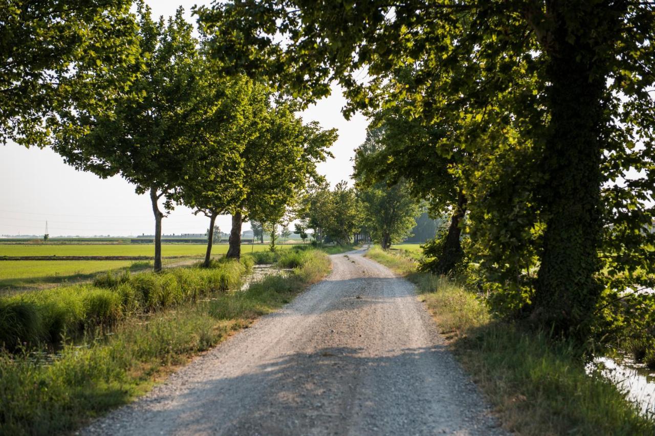 Agriturismo Lecolombare Nogarole Rocca Zewnętrze zdjęcie